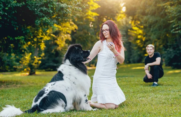 Svart Och Vitt Newfoundland Hund Leker Med Unga Kaukasiska Par — Stockfoto