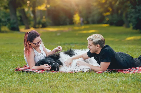 Genç çift yeşil park ile siyah ve beyaz Newfoundland köpek çalış