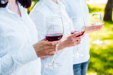 Üç genç kız enjoing kırmızı şarap Park.