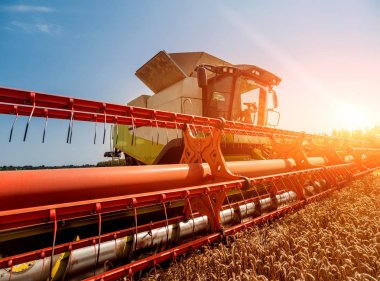 Biçerdöver buğday alan eylem içinde birleştirir. Olgun bir ürün tarladan toplama işlemi.