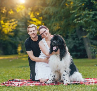 Genç çift yeşil park ile siyah ve beyaz Newfoundland köpek çalış
