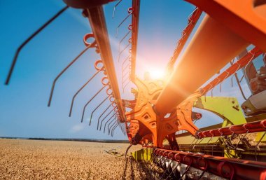 Biçerdöver buğday alan eylem içinde birleştirir. Olgun bir ürün tarladan toplama işlemi.