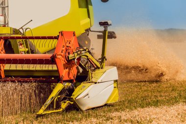 Biçerdöver buğday alan eylem içinde birleştirir. Olgun bir ürün tarladan toplama işlemi.
