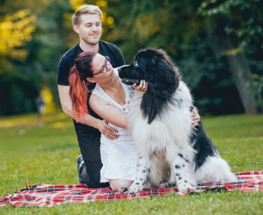 Genç çift yeşil park ile siyah ve beyaz Newfoundland köpek çalış
