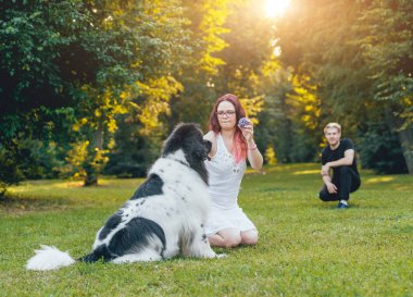 Genç çift yeşil park ile siyah ve beyaz Newfoundland köpek çalış