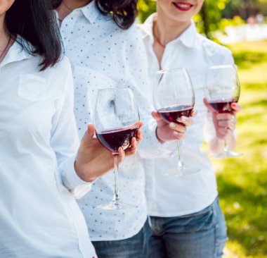 Üç genç kız enjoing kırmızı şarap Park.