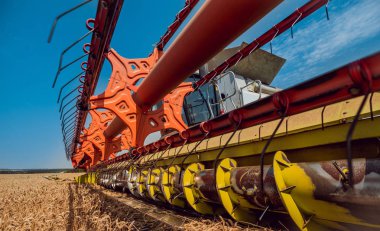 Biçerdöver buğday alan eylem içinde birleştirir. Olgun bir ürün tarladan toplama işlemi.