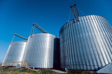 Modern silolar Tahıl hasat depolamak için. Tarım. 
