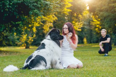 Genç çift yeşil park ile siyah ve beyaz Newfoundland köpek çalış