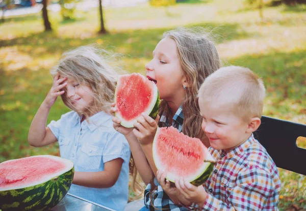 Grande Famiglia Con Bambini Mangiare Anguria Nel Parco Verde Estivo — Foto Stock