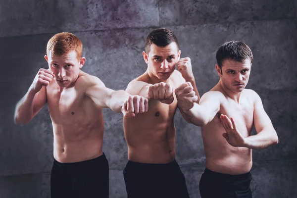 Jóvenes Luchadores Posando Estudio Ante Muro Gris — Foto de Stock