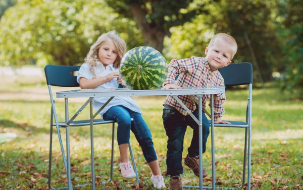 Bambini Con Anguria Nel Verde Parco Estivo — Foto Stock