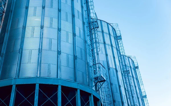 Modern silolar Tahıl hasat depolamak için. Tarım. 
