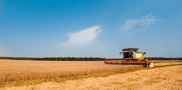 Biçerdöver buğday alan eylem içinde birleştirir. Olgun bir ürün tarladan toplama işlemi.