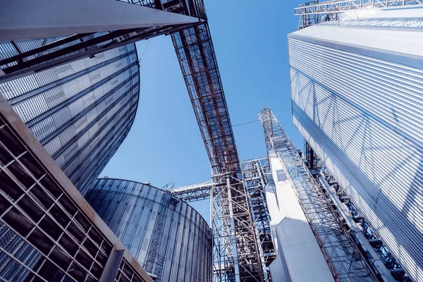 Modern Silos Storing Grain Harvest Agriculture Low Angle — Stock Photo, Image