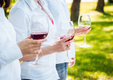 Piknik Park kırmızı şarap gözlüklü genç kızlar.