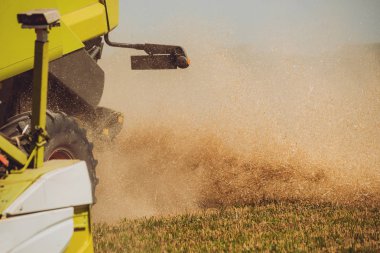 Biçerdöver buğday alan eylem içinde birleştirir. Olgun bir ürün tarladan toplama işlemi.