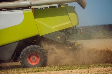 Biçerdöver buğday alan eylem içinde birleştirir. Olgun bir ürün tarladan toplama işlemi.