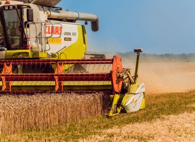 Biçerdöver buğday alan eylem içinde birleştirir. Olgun bir ürün tarladan toplama işlemi.