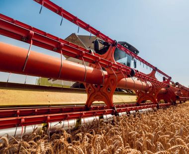 Biçerdöver buğday alan eylem içinde birleştirir. Olgun bir ürün tarladan toplama işlemi.