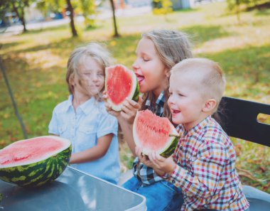 Yeşil Yaz parkta karpuz yeme çocuklar