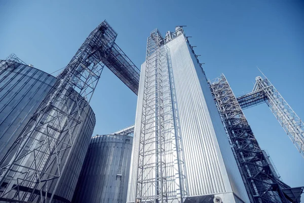 Silos Modernos Para Almacenar Cosecha Granos Agricultura Ángulo Bajo —  Fotos de Stock