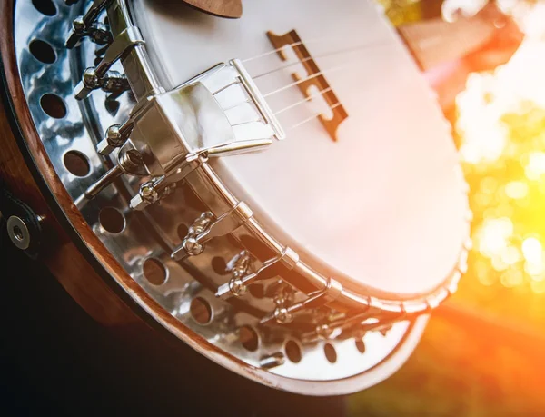 Metalik Banjo Silver Yakın Çekim — Stok fotoğraf