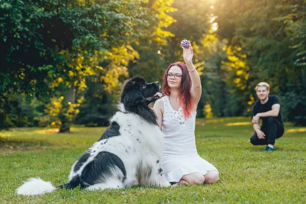 Genç çift yeşil park ile siyah ve beyaz Newfoundland köpek çalış