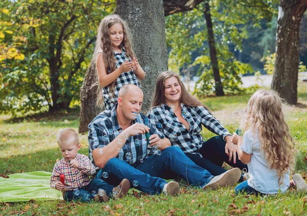 Grande Famille Jeune Avoir Bon Temps Dans Parc — Photo