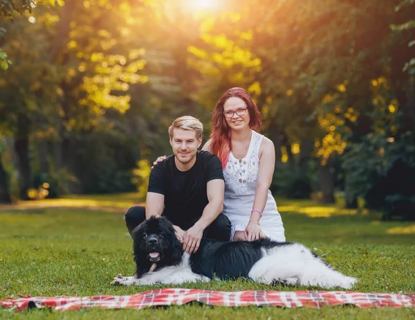 Negro Blanco Terranova Perro Juega Con Jóvenes Caucásicos Pareja Verde — Foto de Stock