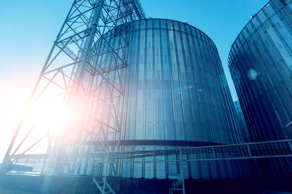 Modern silos for storing grain harvest. Agriculture.