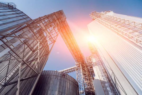 Modern silos for storing grain harvest. Agriculture.