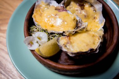 Peynirin altında taze istiridye, buz ve çiçeklerle dolu bir tabakta. Restoran