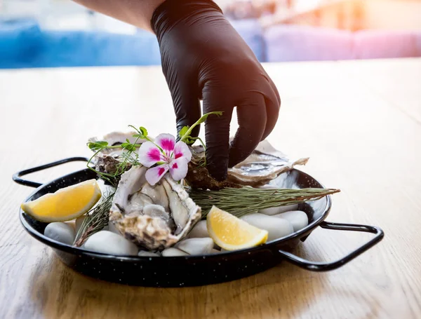 Chef opens a fresh oyster. Dish with open oysters. Restaurant. — 스톡 사진