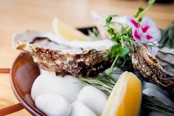 Fresh oysters on a plate with ice and flowers. Restaurant — 스톡 사진