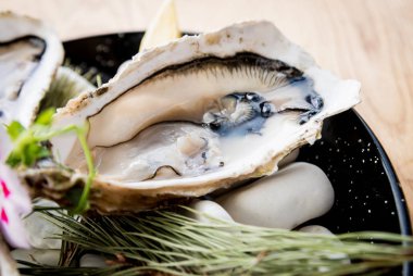 Buzlu ve çiçekli taze istiridye. Restoran