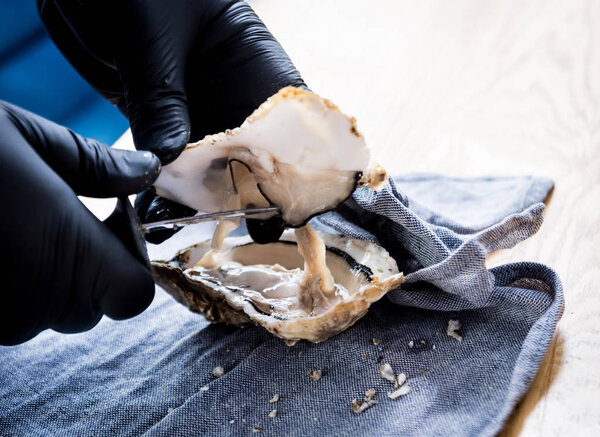Chef opens a fresh oyster. Dish with open oysters. Restaurant.