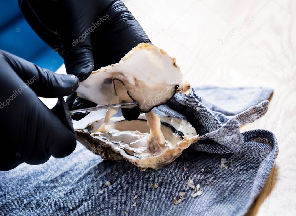 Chef opens a fresh oyster. Dish with open oysters. Restaurant.