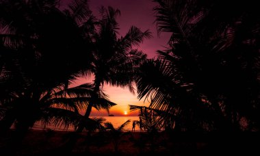 Tropiklerdeki sahilde güzel bir gün batımı. Gökyüzü ve okyanus