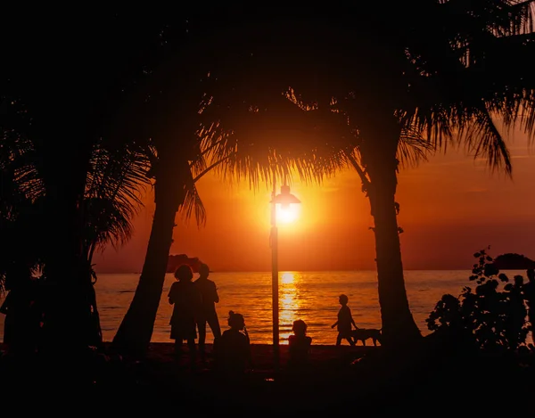 Hermosa puesta de sol en la playa en los trópicos. Cielo y océano —  Fotos de Stock