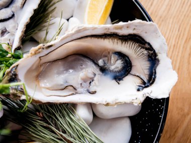 Buzlu ve çiçekli taze istiridye. Restoran