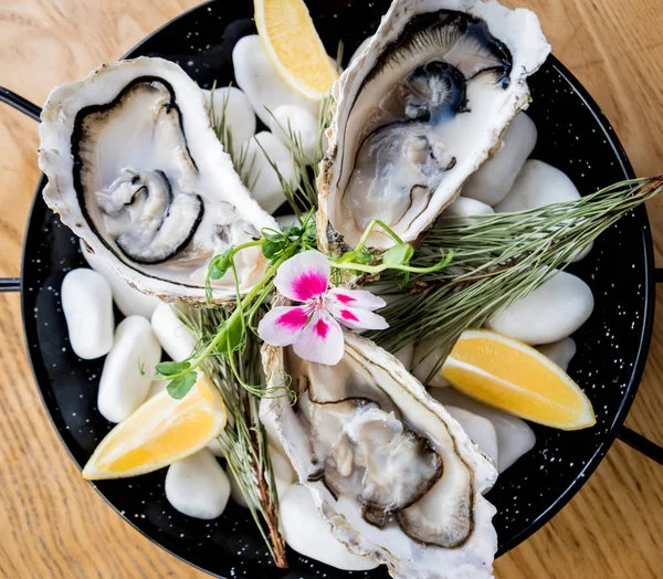 Fresh oysters on a plate with ice and flowers. Restaurant — 스톡 사진