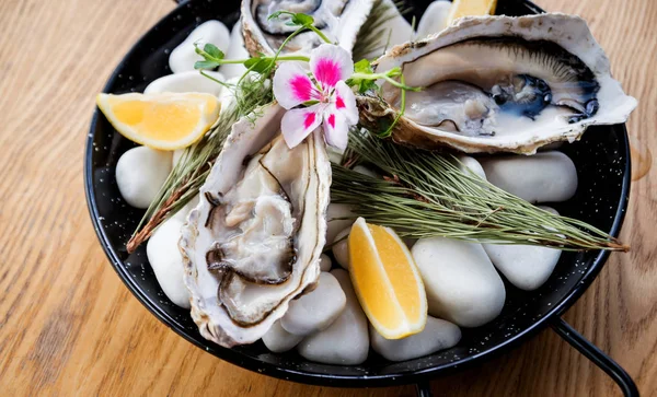 Fresh oysters on a plate with ice and flowers. Restaurant — 스톡 사진