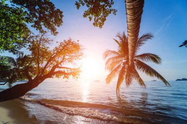 Tropiklerdeki sahilde güzel bir gün batımı. Gökyüzü ve okyanus