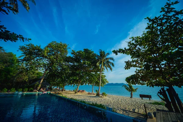 Swimming pool at exotic tropical resort. Exotic garden. — Stok fotoğraf