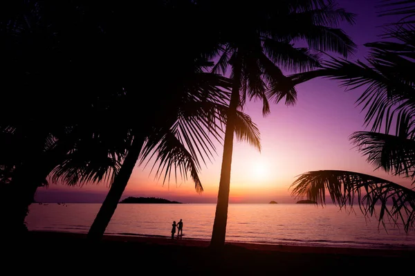 熱帯のビーチで美しい夕日。空と海 — ストック写真