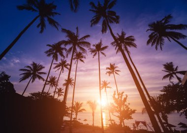 Tropiklerdeki sahilde güzel bir gün batımı. Gökyüzü ve okyanus