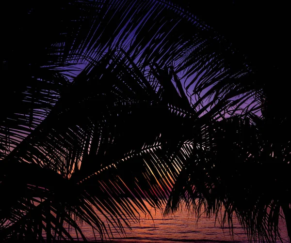 Piękny zachód słońca na plaży w tropikach. Niebo i ocean — Zdjęcie stockowe