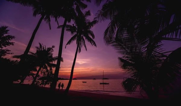 Beautiful sunset at the beach in the tropics. Sky and ocean — Stock Photo, Image