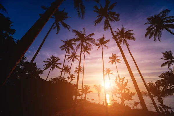 Tropiklerdeki sahilde güzel bir gün batımı. Gökyüzü ve okyanus